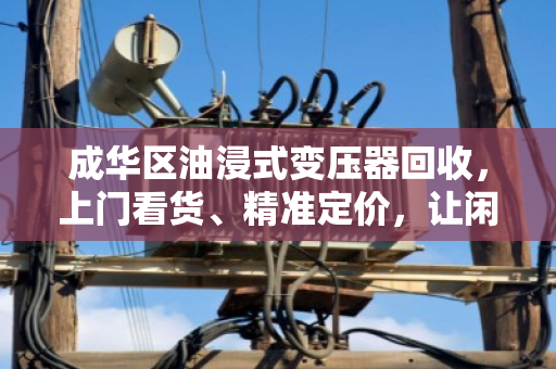 成华区油浸式变压器回收，上门看货、精准定价，让闲置设备转出高价值